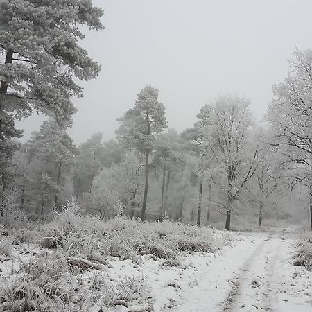 Sellingen B&B"De Hassehof" المظهر الخارجي الصورة