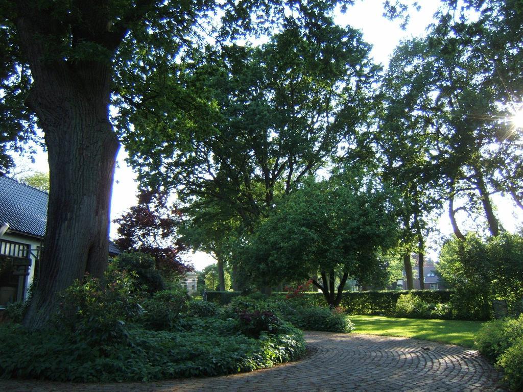 Sellingen B&B"De Hassehof" المظهر الخارجي الصورة